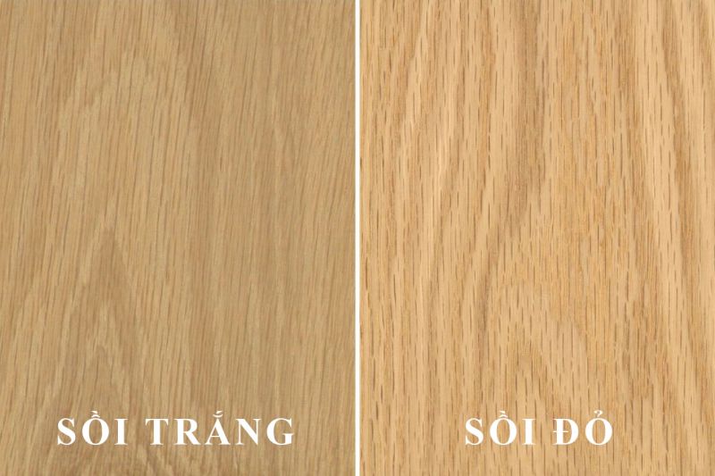 Gỗ sồi với vân thẳng, phù hợp nội thất hiện đại