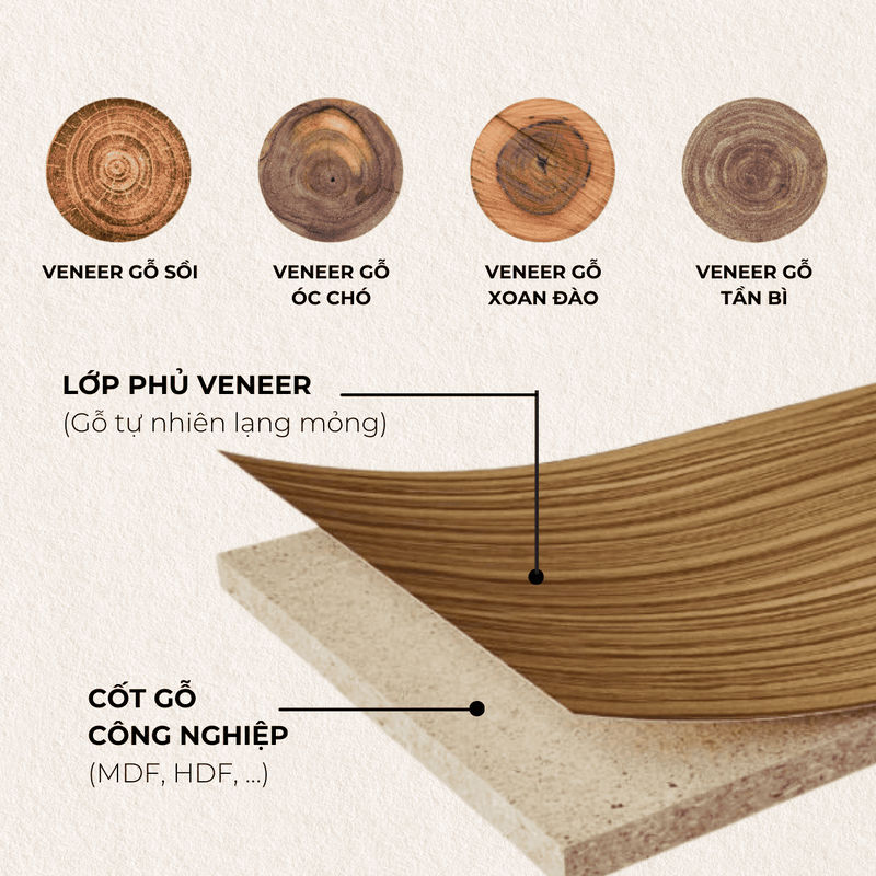 Gỗ Plywood phủ veneer là gì? Ưu nhược điểm của vật liệu và ứng dụng trong thực tế