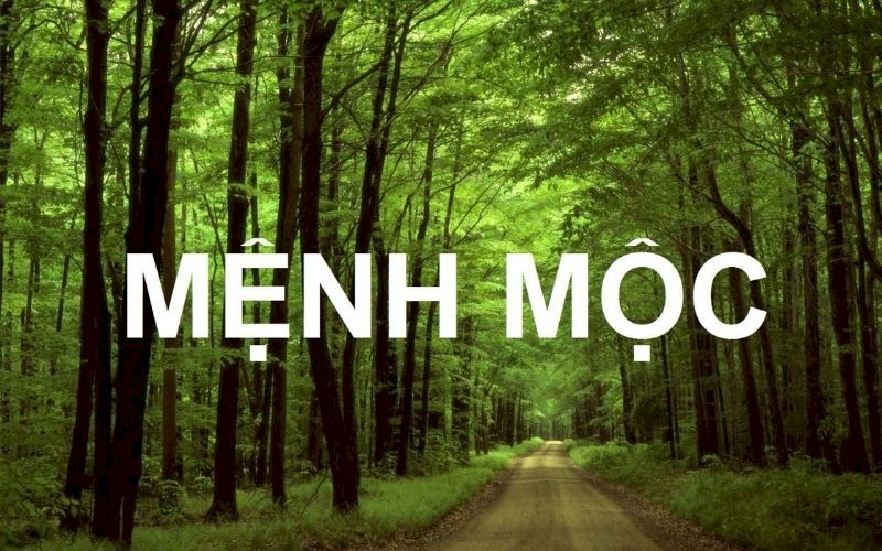 Người mệnh Mộc hợp hướng Đông, Đông Nam và Bắc